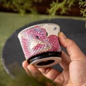 d494626cd752cab375faa4ffccd7dff